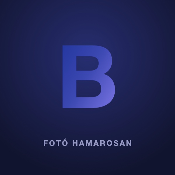Balázs — Projekt Manager